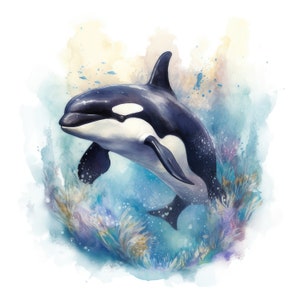 Killer Whale Clipart - 10 wysokiej jakości obrazów, 300 DPI do pobrania w wersji cyfrowej - tworzenie kart, media mieszane, wydruki cyfrowe Orca