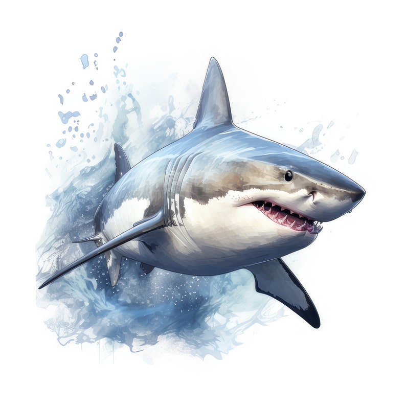May include: A white great white shark with an open mouth, swimming through a blue and white watercolor background.