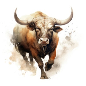 Bull Running Clipart, 12 High Quality JPGs | High Resolution | 300 DPI | Instant Digital Download, Personal & Commercial Use