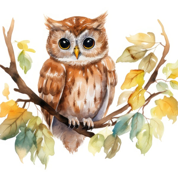Owls on Branch Clipart, 16 High Quality JPGs | Bird Digital Prints | Digital Download, Wall Art, Mugs, Scrapbook, Commercial Use