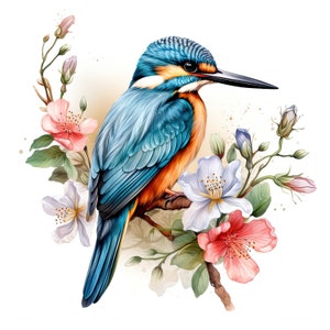 4 lindos PNG de martín pescador, imágenes prediseñadas de aves, flores de martín pescador de acuarela PNG, flor de pájaro png, pájaro floral png, descarga digital, impresión digital