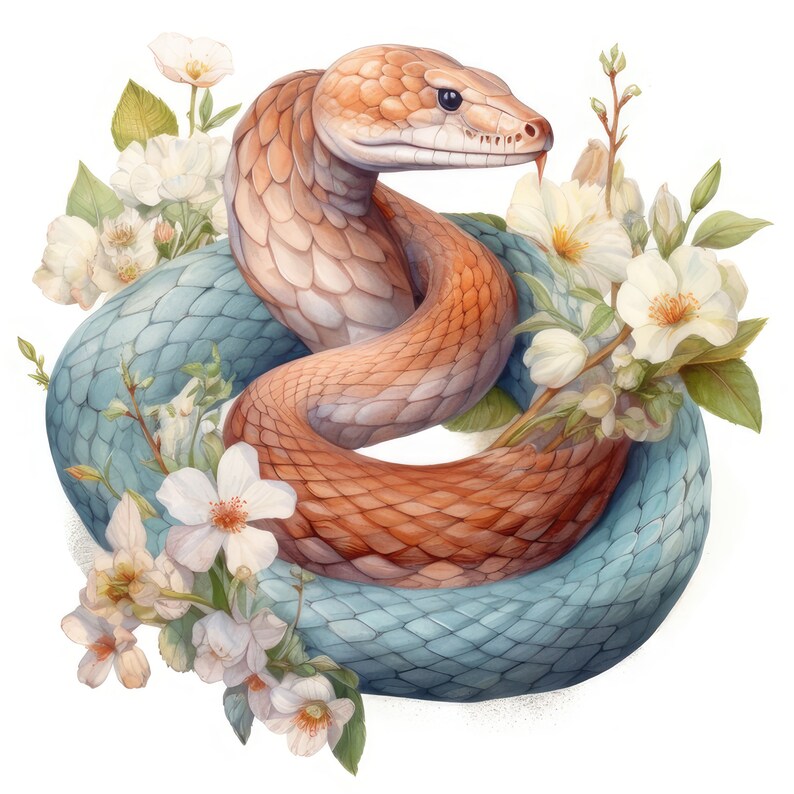 Copperhead Snake With Flowers Clipart 11 High Quality Images Etsy