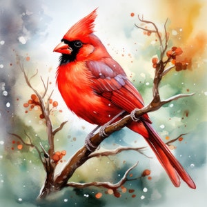 Clipart de pájaro cardenal rojo, 12 JPG de alta calidad / Impresiones digitales de 300 DPI / Descarga digital, Arte de pared, Tazas, Libro de recuerdos, Uso comercial