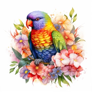 Loriquet arc-en-ciel oiseaux avec fleurs Clipart, 17 fichiers JPG de haute qualité, téléchargement numérique - fabrication de cartes, techniques mixtes, création numérique en papier 300 DPI