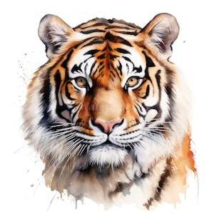 Leuke tijger clipart, 12 hoge kwaliteit JPG's | 300 DPI digitale afdrukken | Digitale download, kunst aan de muur, mokken, plakboek, commercieel gebruik