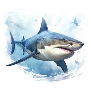 May include: A large great white shark with a white underbelly and a blue-grey back swims through the water. The shark has its mouth open, revealing sharp teeth. The water is painted in a watercolor style with splashes of blue and white.