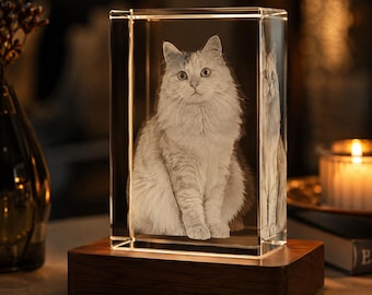 Pet Memorial 3D Crystal Photo, Custom Engraved Dog Cat Portrait Keepsake, Rainbow Bridge Sympathy Gift, K9 LED Light Base