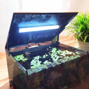Könnte beinhalten: Ein schwarzes, würfelförmiges Aquarium mit einer klaren Glasfront und einem schwarzen Deckel. Der Deckel ist geöffnet und hat einen weißen LED-Lichtstreifen. Das Aquarium ist mit Wasser gefüllt und es wachsen grüne Pflanzen darin.