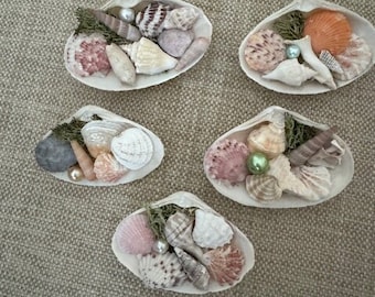 Lot/5 Coastal Seashell Magnets