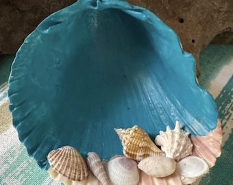 Surtido de conchas marinas con decoración de concha de berberecho grande