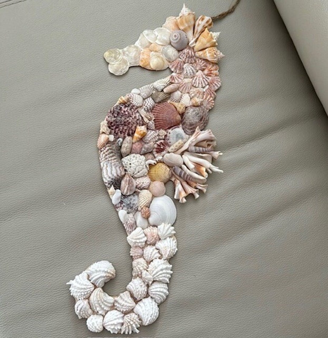 Coastal Seashell Seahorse Wall Hanging Etsy