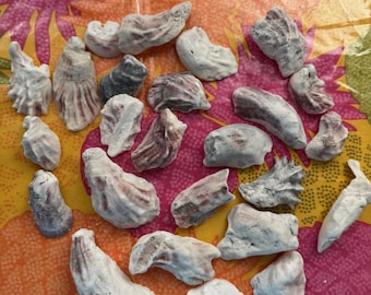 Lote de 25 conchas de ostra surtidas
