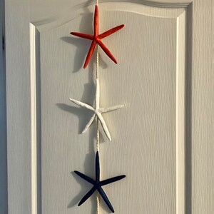 Americana Star Fish Door/Wall Decor