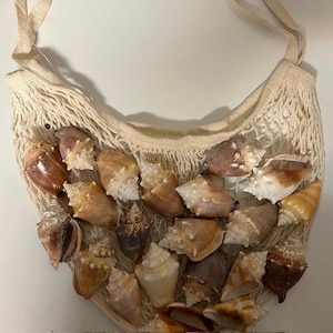 Conch Shells in Net Bag
