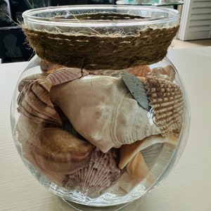 Decorative Seashell Vase