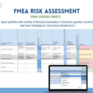 Plantilla de evaluación de riesgos FMEA Herramienta de gestión compatible con ISO GMP Guía de mitigación de riesgos operativos de calidad para mejora de procesos Gestor de riesgos