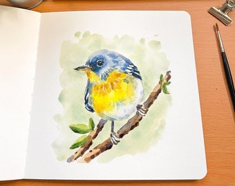 Watercolor Bird Tutorial Step by Step painting downloadable PDF