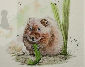 Limited edition print of a water vole