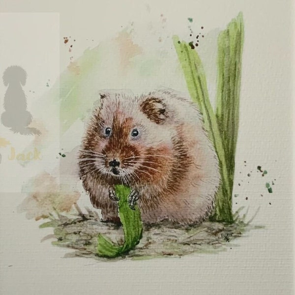 Limited edition print of a water vole