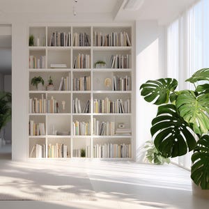 Op de afbeelding: Een lichte, moderne woonkamer met een witte bank, een grote boekenkast vol boeken en een grote Monstera-plant in pot. Zonnestralen schijnen door transparante gordijnen en verlichten de ruimte. Een ingelijste botanische print hangt aan de muur.