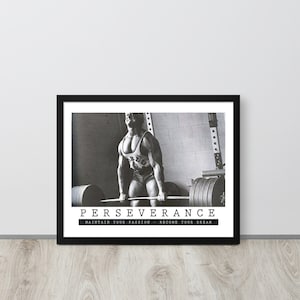Gym Poster, Motivational Wall Art, Perseverance, Framed Poster, Artwork Wall Decor For Hustle, Workout, Bodybuilding, Fitness, Powerlifting
