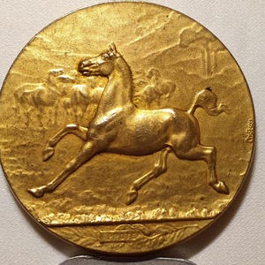 1920s Horse protection french 50mm Art medal bronze Award