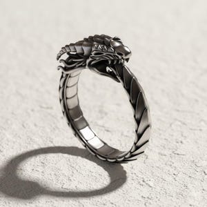 Ouroboros Dragon Handmade Sterling Silver Men Ring, Ouroboros Serpent Mythology Ring, Dragon Silver Men Jewelry, Silver Unique Ring For Men