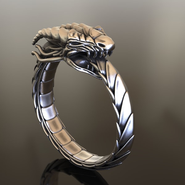 Ouroboros Dragon Handmade Sterling Silver Men Ring, Ouroboros Serpent Mythology Ring, Dragon Silver Men Jewelry, Silver Unique Ring For Men