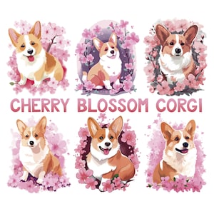 Kirschblüten-Corgis Clipart, Corgis PNG, niedliche Illustrationen für Corgis-Liebhaber, transparenter Hintergrund, digitaler Download, Sublimation PNG