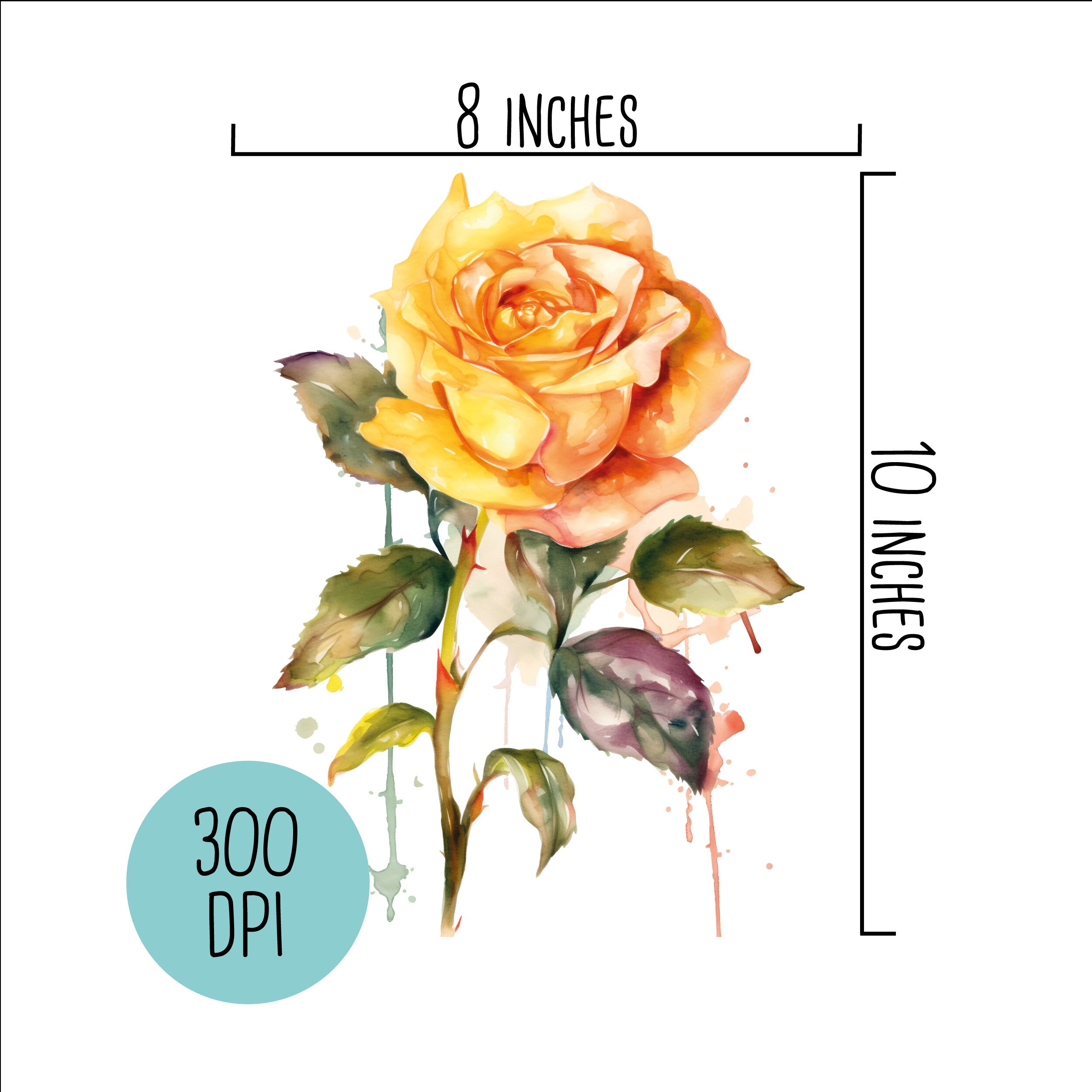 Watercolor Roses Painting, Roses PNG, Flower Watercolor Clipart, Roses Clipart, Watercolor