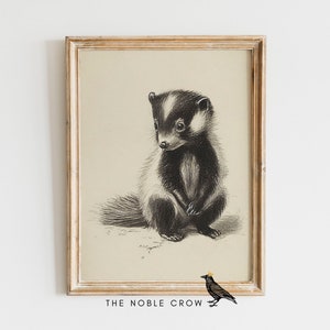 Woodland Baby Skunk Animal Print, Nursery Decor, PRINTABLE Art, Nursery Wall Art, Forest Animal Babies, Baby Room Art | AR6509