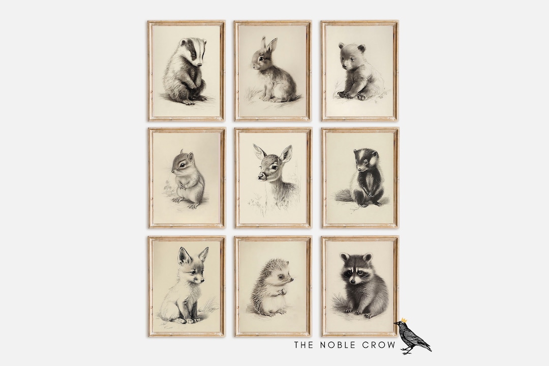 Woodland Baby Animal Gallery Wall Set of 9 Prints, Nursery Decor ...