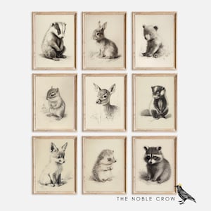 Woodland Baby Animal Gallery Wall Set of 9 Prints, Nursery Decor, PRINTABLE Art, Nursery Wall Art, Forest Animal, Baby Room Art | AR6510