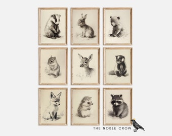 Woodland Baby Animal Gallery Wall Set of 9 Prints, Nursery Decor, PRINTABLE Art, Nursery Wall Art, Forest Animal, Baby Room Art | AR6510