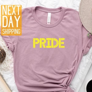 Pride Shirt, Kindness Shirt, LGBT Shirt, Social Justice, Human Right, Anti Racism, Gay Pride, Love is Love Shirt, Gift For Friend