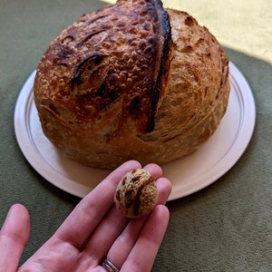 May include: A close-up of a round, brown and tan crocheted ball held in a hand. The ball is in front of a large, round loaf of bread on a white plate.