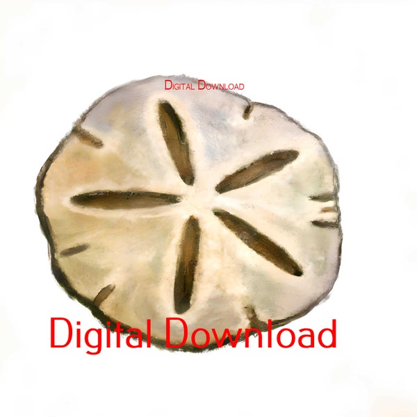 Watercolor Sand Dollar, Starfish and Sea Shell Drawings - High Quality Digital Download