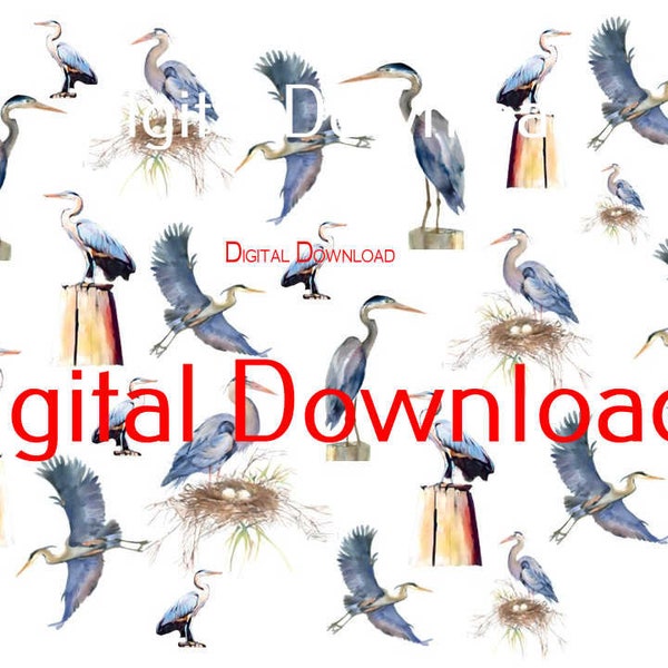 Watercolor Sea bird Decoupage Drawings - Sea Gulls and Herons High Quality Digital Download - use with inkjet printer and plain paper
