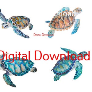 May include: Three watercolor paintings of sea turtles. The turtles are swimming in different directions. The turtles are painted in shades of blue, green, and brown.