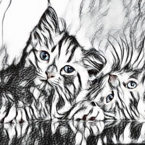 Cat Sketch Art Effect
