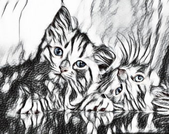 Cat Sketch Art Effect
