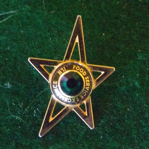 Loudoun Hospital &quot;Food Service Excellence&quot; ILH Lapel Pin, **Read Listing Carefully.**