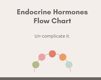 Endocrine Hormones Flow Chart