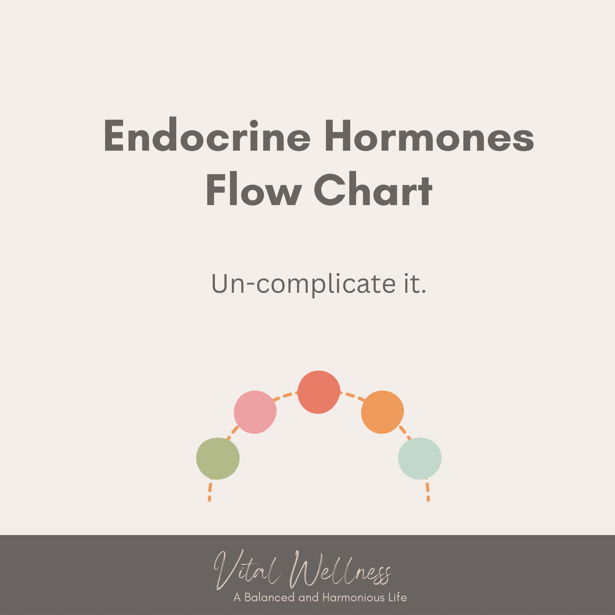 Endocrine System Hormone Flow Chart