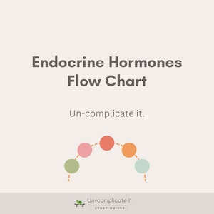 Stroomschema endocriene hormonen + oefenblad