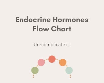 Diagrama de flujo de hormonas endocrinas + Hoja de práctica