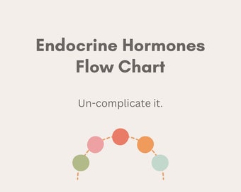 Endocrine Hormones Flow Chart