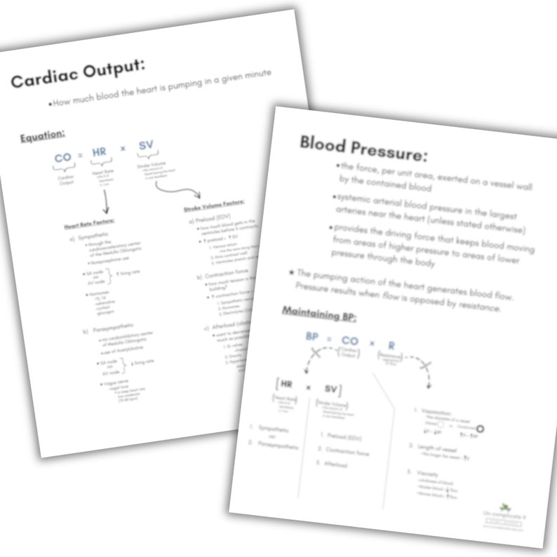 The Components of Cardiac Output & Blood Pressure Bundle - Etsy