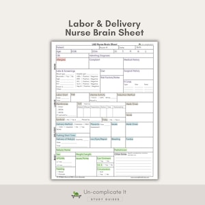 Labor and Delivery Nurse Brain Sheet: L&D Report Handoff (PDF Digital Download)