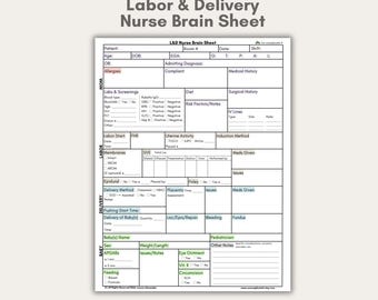 Hoja informativa para la enfermera de parto y alumbramiento: Entrega del informe de parto y alumbramiento (descarga digital en PDF)